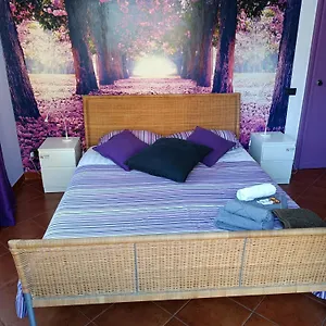 Claudia A Monteverde Bed and breakfast